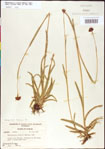 000011396-thumbnail.jpg