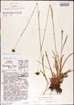 000011397-thumbnail.jpg