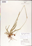 000011398-thumbnail.jpg