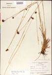 000011399-thumbnail.jpg