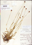 000011400-thumbnail.jpg