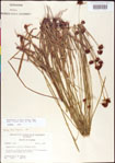 000011402-thumbnail.jpg