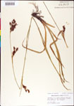 000011717-thumbnail.jpg