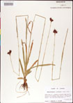 000011718-thumbnail.jpg