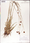 000011719-thumbnail.jpg