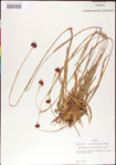 000011720-thumbnail.jpg