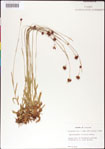 000011722-thumbnail.jpg