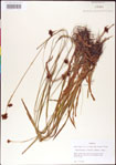 000011724-thumbnail.jpg