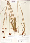 000011726-thumbnail.jpg