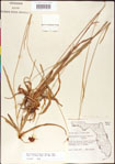 000011727-thumbnail.jpg