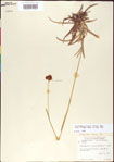 000011728-thumbnail.jpg