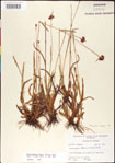 000011730-thumbnail.jpg