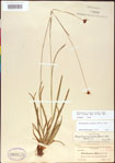 000011732-thumbnail.jpg