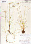 000011737-thumbnail.jpg