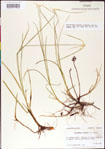 000011738-thumbnail.jpg