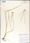 000011739-thumbnail.jpg
