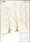 000011740-thumbnail.jpg