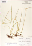 000011742-thumbnail.jpg