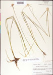 000011743-thumbnail.jpg