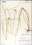 000011744-thumbnail.jpg