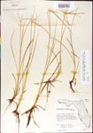 000011745-thumbnail.jpg