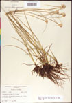 000011746-thumbnail.jpg