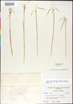 000011747-thumbnail.jpg