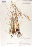 000011748-thumbnail.jpg