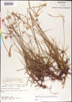 000011749-thumbnail.jpg