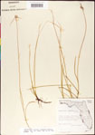 000011751-thumbnail.jpg