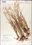 000011753-thumbnail.jpg