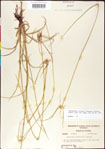 000011754-thumbnail.jpg