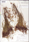 000011756-thumbnail.jpg