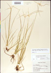 000011757-thumbnail.jpg