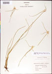000011758-thumbnail.jpg