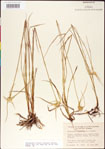 000011759-thumbnail.jpg