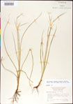 000011760-thumbnail.jpg