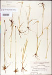 000011761-thumbnail.jpg