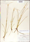 000011763-thumbnail.jpg