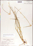 000011764-thumbnail.jpg
