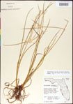 000011765-thumbnail.jpg