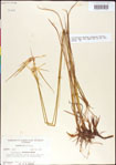 000011766-thumbnail.jpg