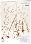 000011767-thumbnail.jpg