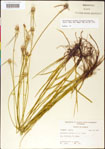 000011770-thumbnail.jpg
