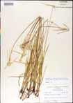000011772-thumbnail.jpg