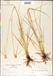 000011773-thumbnail.jpg