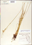 000011774-thumbnail.jpg