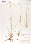 000011776-thumbnail.jpg