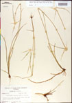 000011777-thumbnail.jpg