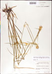 000011778-thumbnail.jpg